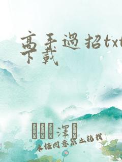 高手过招txt下载