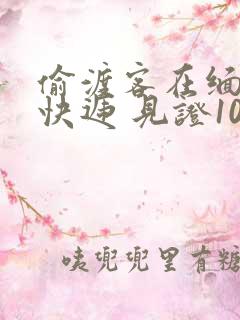 偷渡客在缅北送快递 见证100种逃亡