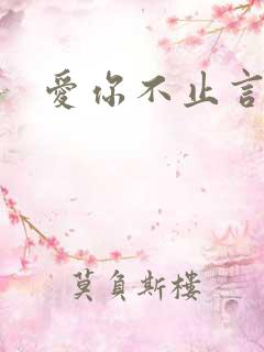 爱你不止言语