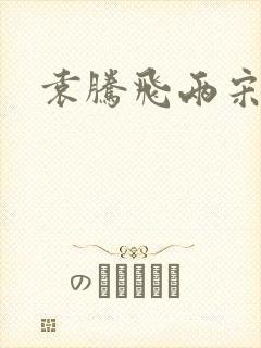 袁腾飞两宋风云