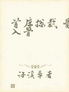 首席总裁 爱你入骨