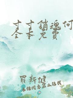 寸寸销魂何生祥全本免费