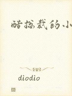 酷总裁的小女佣