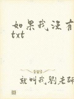 如果我没有爱过txt