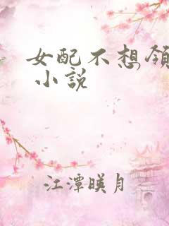 女配不想领便当 小说