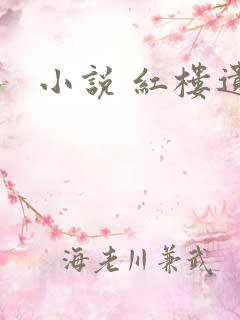 小说 红楼遗秘