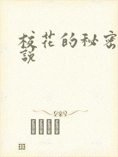 校花的秘密 小说