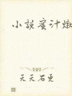 小说蜜汁炖鱿鱼