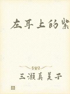 左耳上的紫水晶