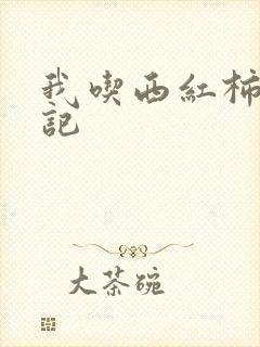 我吃西红柿九鼎记