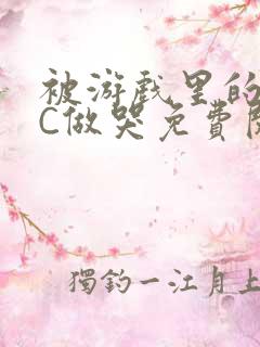 被游戏里的NPC做哭免费阅读