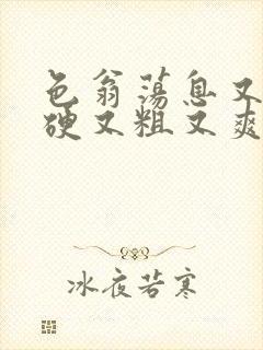 色翁荡息又大又硬又粗又爽电影