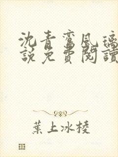 沈青鸾风璃宸小说免费阅读