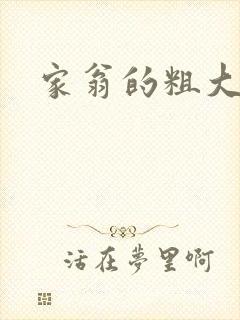 家翁的粗大炮