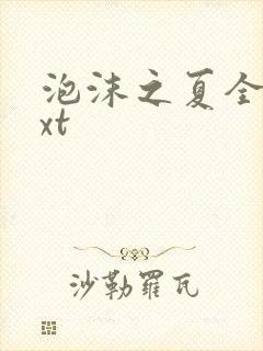 泡沫之夏全集txt