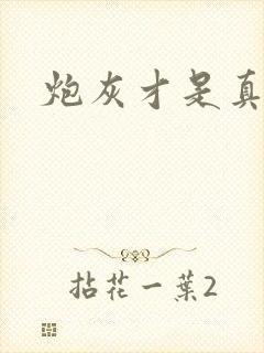 炮灰才是真绝色