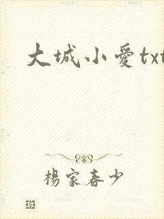 大城小爱txt
