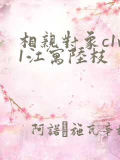 相亲对象c1v1江寓陆枝