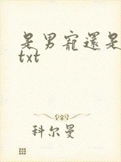 是男宠还是禁脔txt