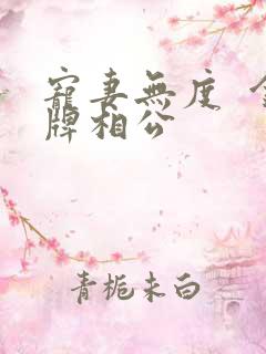 宠妻无度  金牌相公