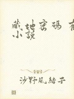 藏地密码 有声小说