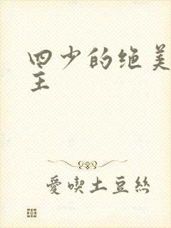 四少的绝美宠公主