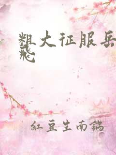 粗大征服岳女双飞