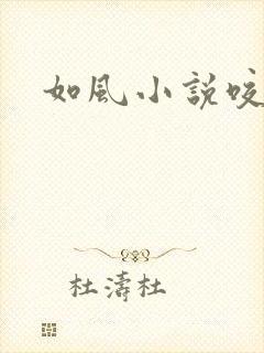 如风小说咬春饼