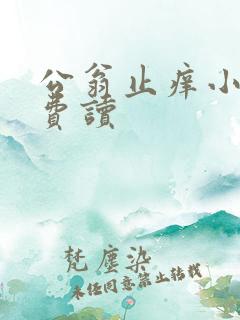 公翁止痒小说免费读