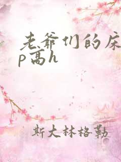 老爷们的床奴np高h
