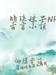 明珠娘子NPC古言小说