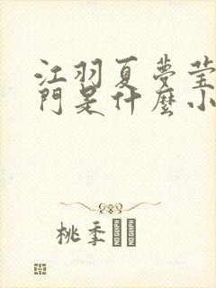 江羽夏梦莹神谕门是什么小说