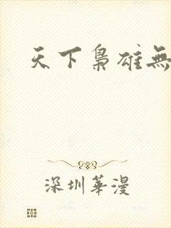 天下枭雄无弹窗