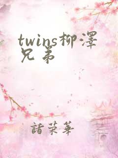 twins柳泽兄弟