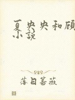 夏央央和顾祁琛小说