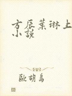 方辰叶琳上官步小说