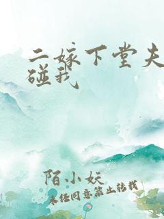 二嫁下堂夫君别碰我