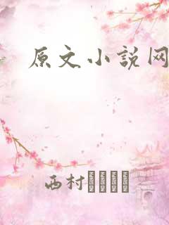 原文小说网