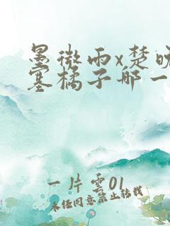 墨微雨x楚晚宁塞橘子哪一章