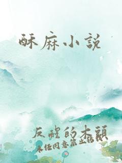 酥麻小说