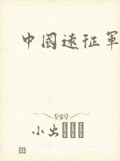 中国远征军下载