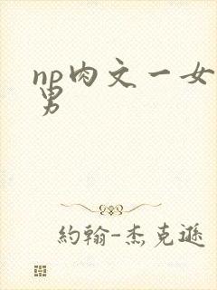 np肉文一女多男