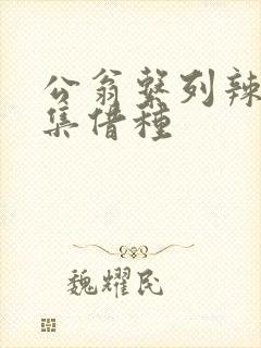 公翁系列辣文全集借种