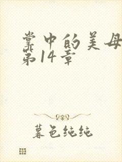 掌中的美母版主第14章