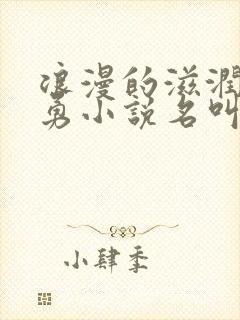 浪漫的滋润刘大勇小说名叫什么?