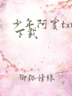 少年阿宾txt 下载