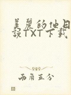 美丽的他日剧小说TXT下载