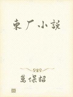东厂小说