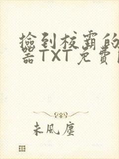 捡到校霸的遥控器TXT免费阅读