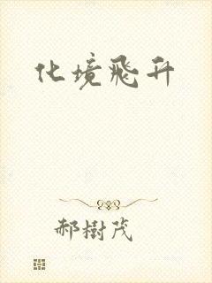 化境飞升